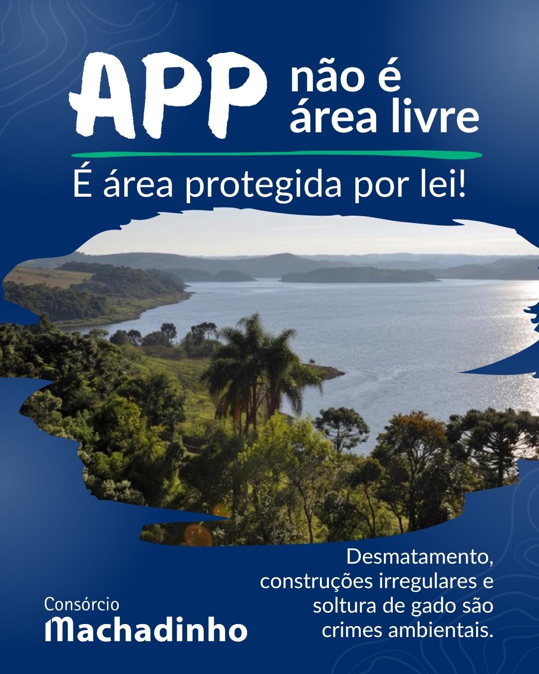 APP não é área livre: uso indevido é crime ambiental 