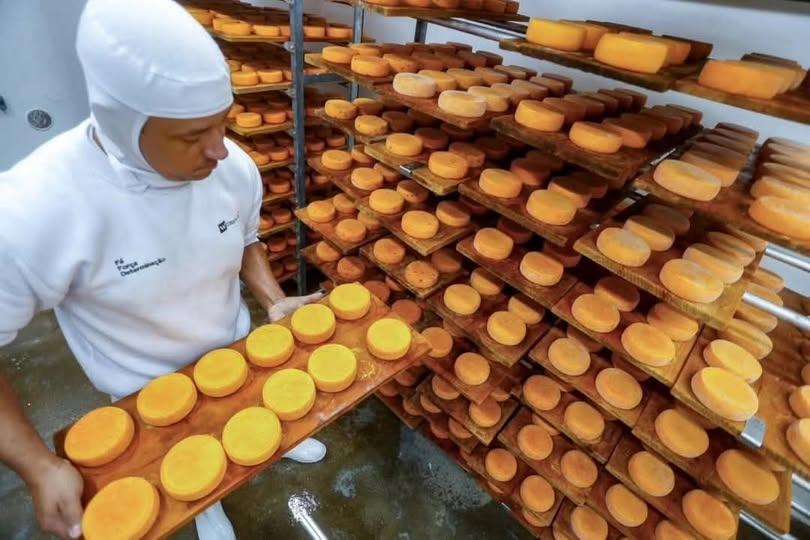 BRASIL COMEÇA A IMPORTAR QUEIJO MAIS BARATO APÓS ACORDO MERCOSUL-UE