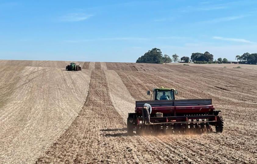 Cautela com custos e clima marca início da semeadura do trigo no Rio Grande do Sul