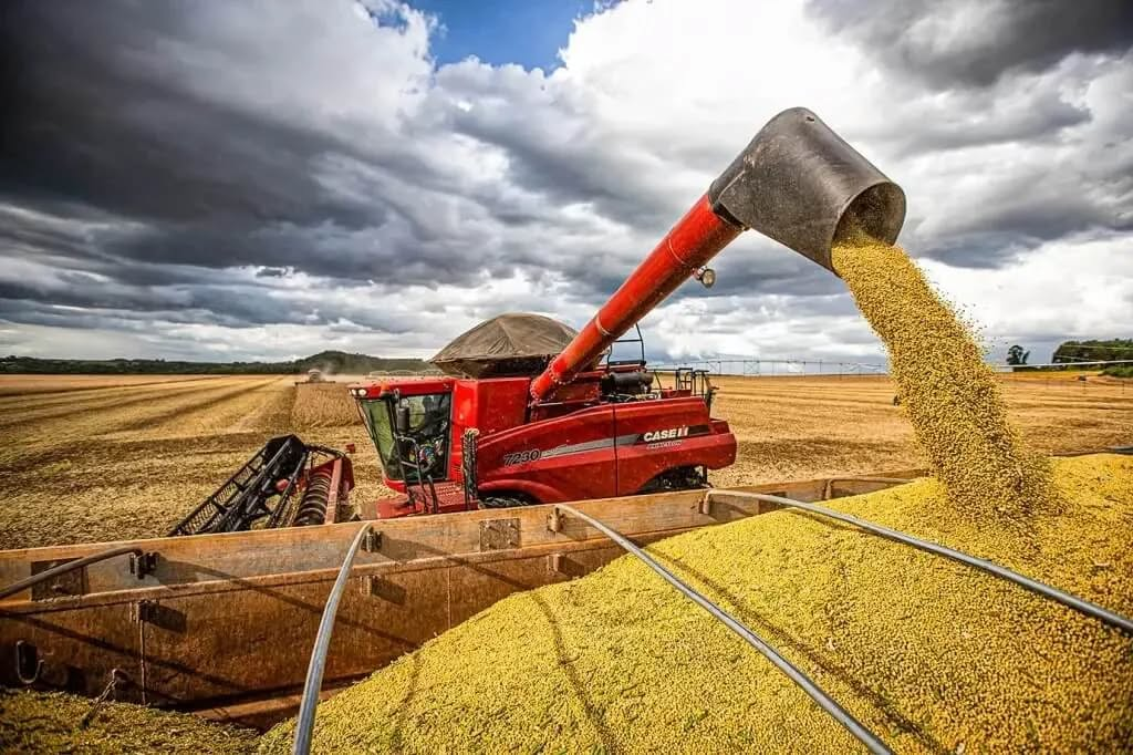 Colheita da soja alcança 98% no RS com grande variação de produtividade entre regiões