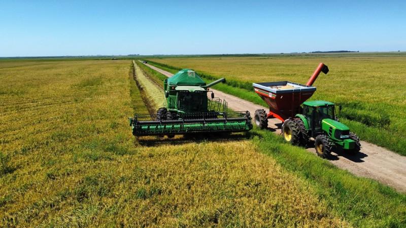 Colheita de arroz avança no RS e já ultrapassa 93% da área cultivada, aponta Irga