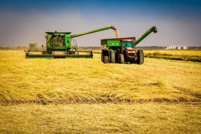 Colheita do arroz no Rio Grande do Sul chega a 98,68% da área cultivada