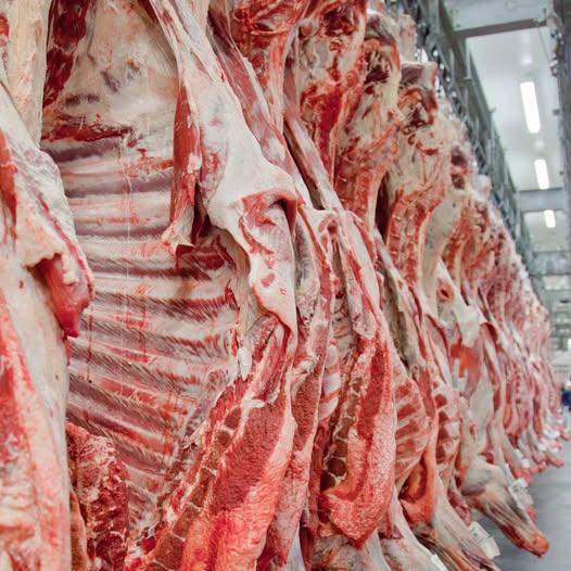 GOVERNO PROMETE REVERTER VETO DA UNIÃO EUROPEIA A PRODUTOS DE ORIGEM ANIMAL BRASILEIROS