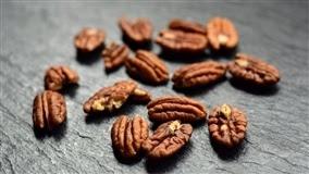 Pecanicultura se torna alternativa de renda e negócio para famílias rurais no Rio Grande do Sul