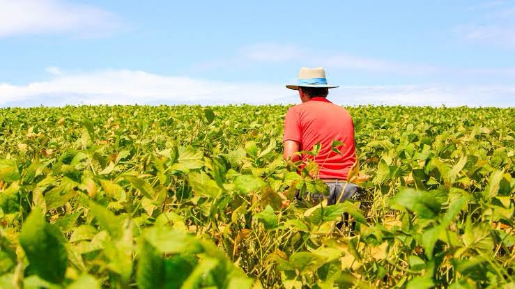 Câmara e governo fecham acordo para renegociação das dívidas do agro após impasse no Congresso
