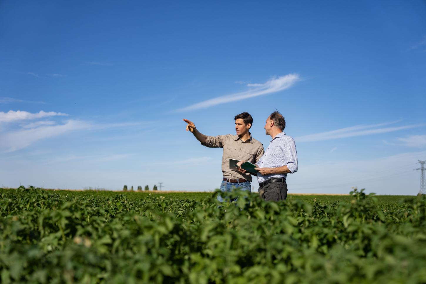 Como reduzir riscos e aumentar a rentabilidade no agro: especialista destaca estratégias para o produtor rural