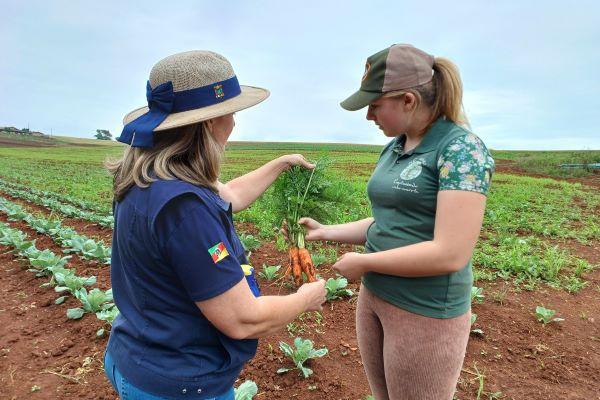 Plano Safra da Agricultura Familiar amplia crédito e Emater/RS-Ascar orienta produtores para acessar recursos