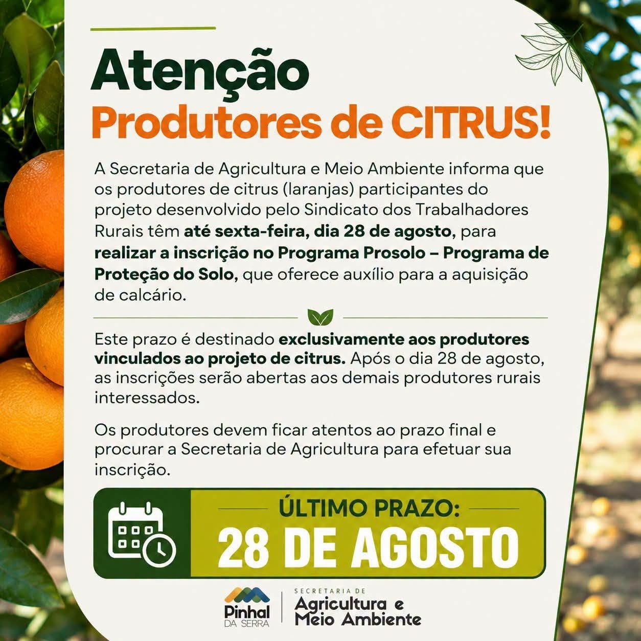 Atenção Produtores de CITRUS de Pinhal da Serra