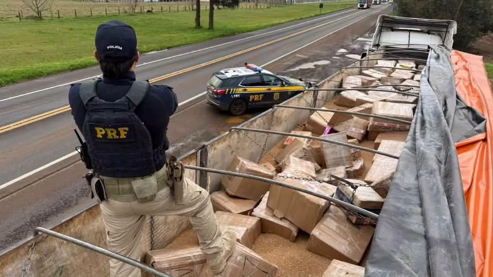MAIS DE 3 TONELADAS DE DROGAS SÃO APREENDIDAS EM GUARAPUAVA EM MEIO A CARGA DE TRIGO