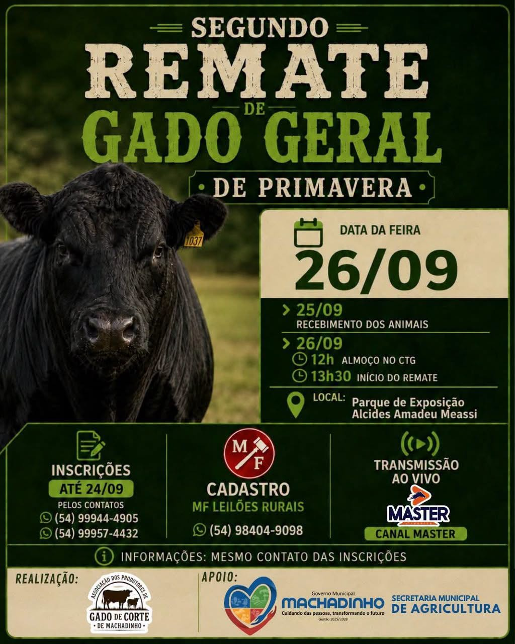 2º Remate de Gado Geral de Primavera será realizado em Machadinho no dia 26 de setembro