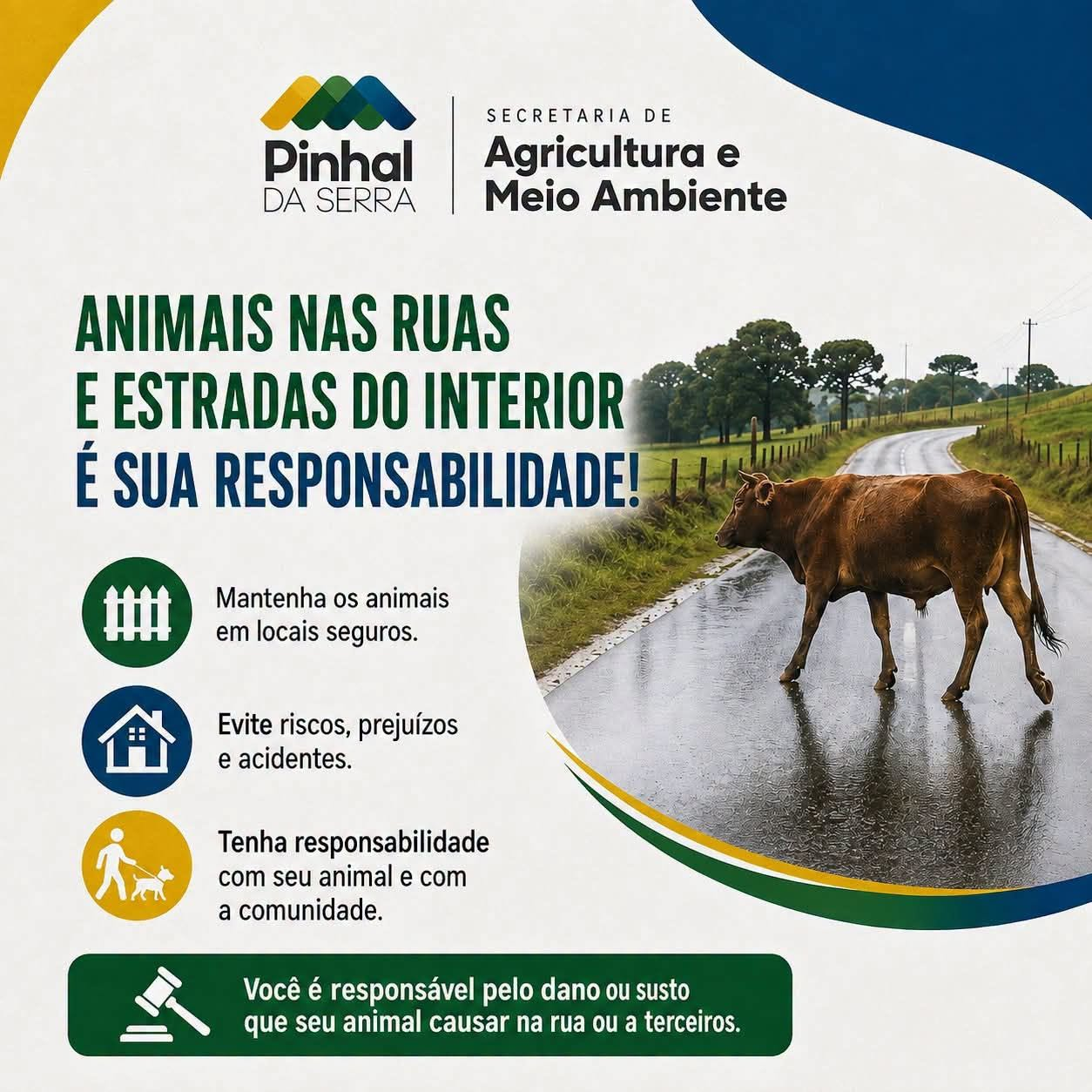 ALERTA: ANIMAIS SOLTOS PODEM CAUSAR ACIDENTES