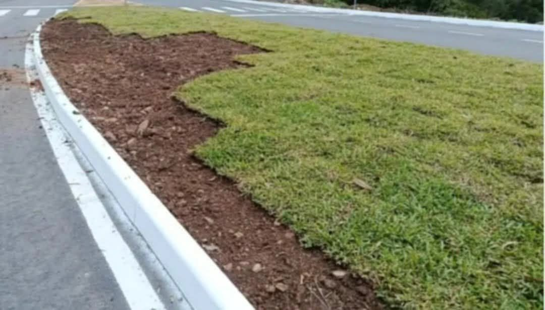 Furto de grama chama atenção em Farroupilha