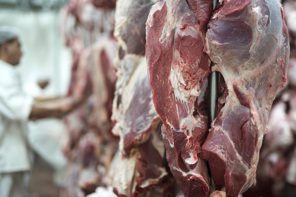 União Europeia suspende a importação de carnes e de outros produtos de origem animal do Brasil