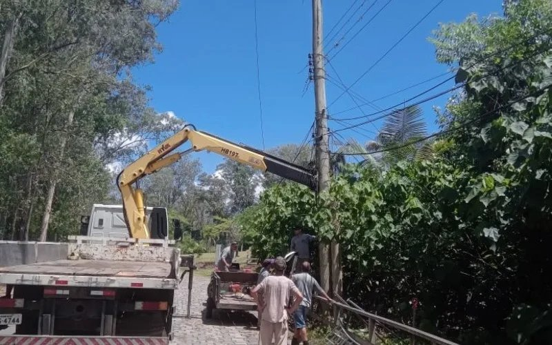 Zoológico de Sapucaia do Sul permanece fechado até segunda-feira devido à queda de árvores provocada pelos temporais