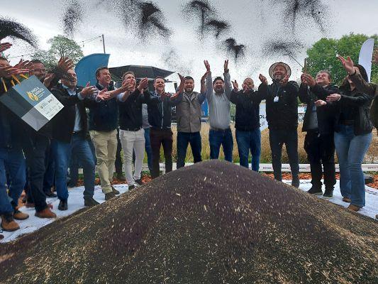 Abertura da colheita da canola e da carinata acontece na Expofest em Ijuí