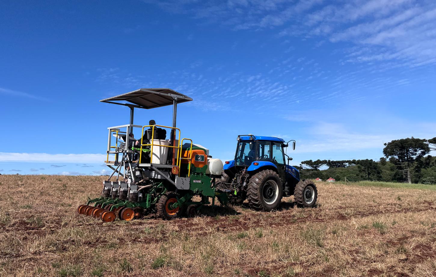 Copercampos amplia avaliação de cultivares de soja em áreas de integração lavoura-pecuária