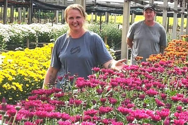 Produtores de Vale Real transformam cultivo de flores em fonte de renda e orgulho no campo